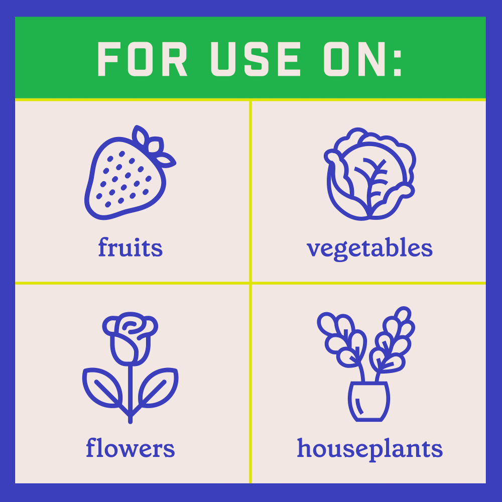 pennington-all-purpose-plant-food-8