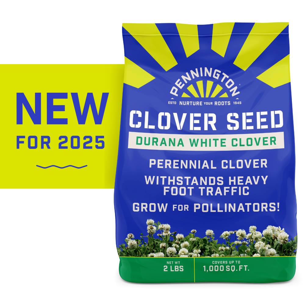 pennington-durana-white-clover-2-lb