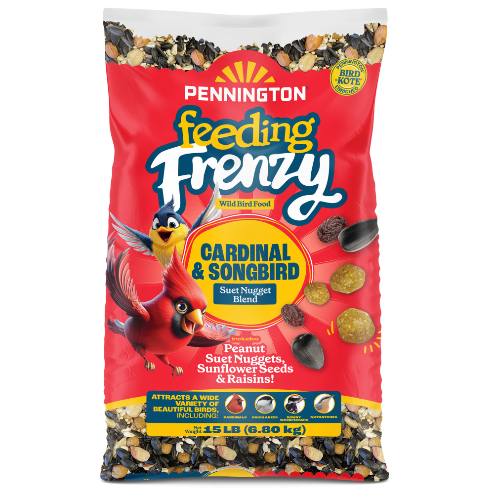 100552171penningtonfeedingfrenzycardinalsongbirdsuetnuggetblendwildbirdfood15poundsminibin1