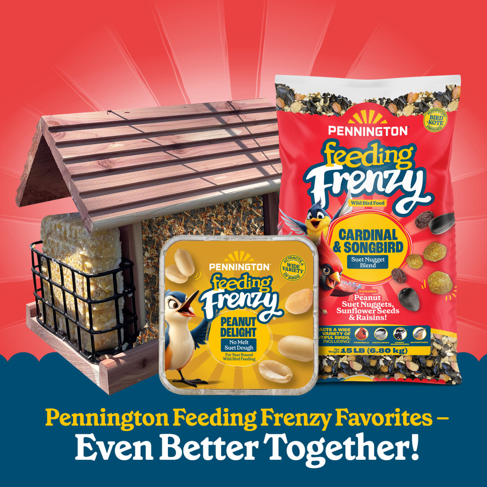 100552171penningtonfeedingfrenzycardinalsongbirdsuetnuggetblendwildbirdfood15poundsminibin11