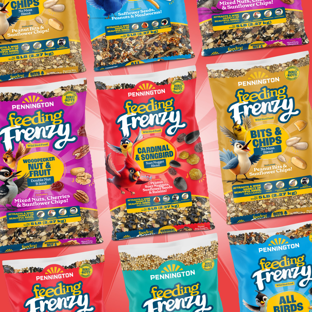 100552171penningtonfeedingfrenzycardinalsongbirdsuetnuggetblendwildbirdfood15poundsminibin12