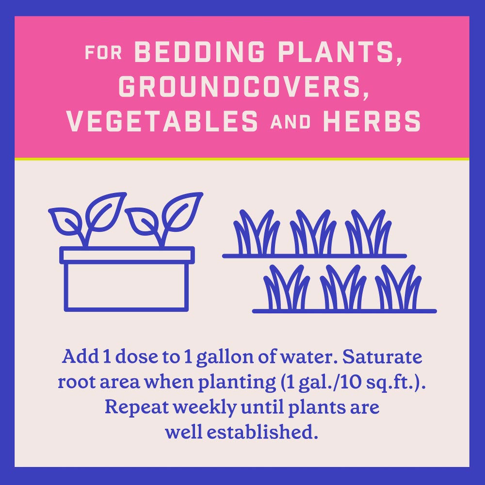 pennington-plant-starter-11