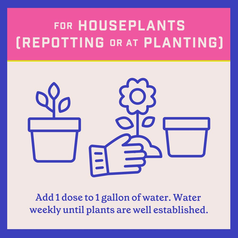 pennington-plant-starter-12