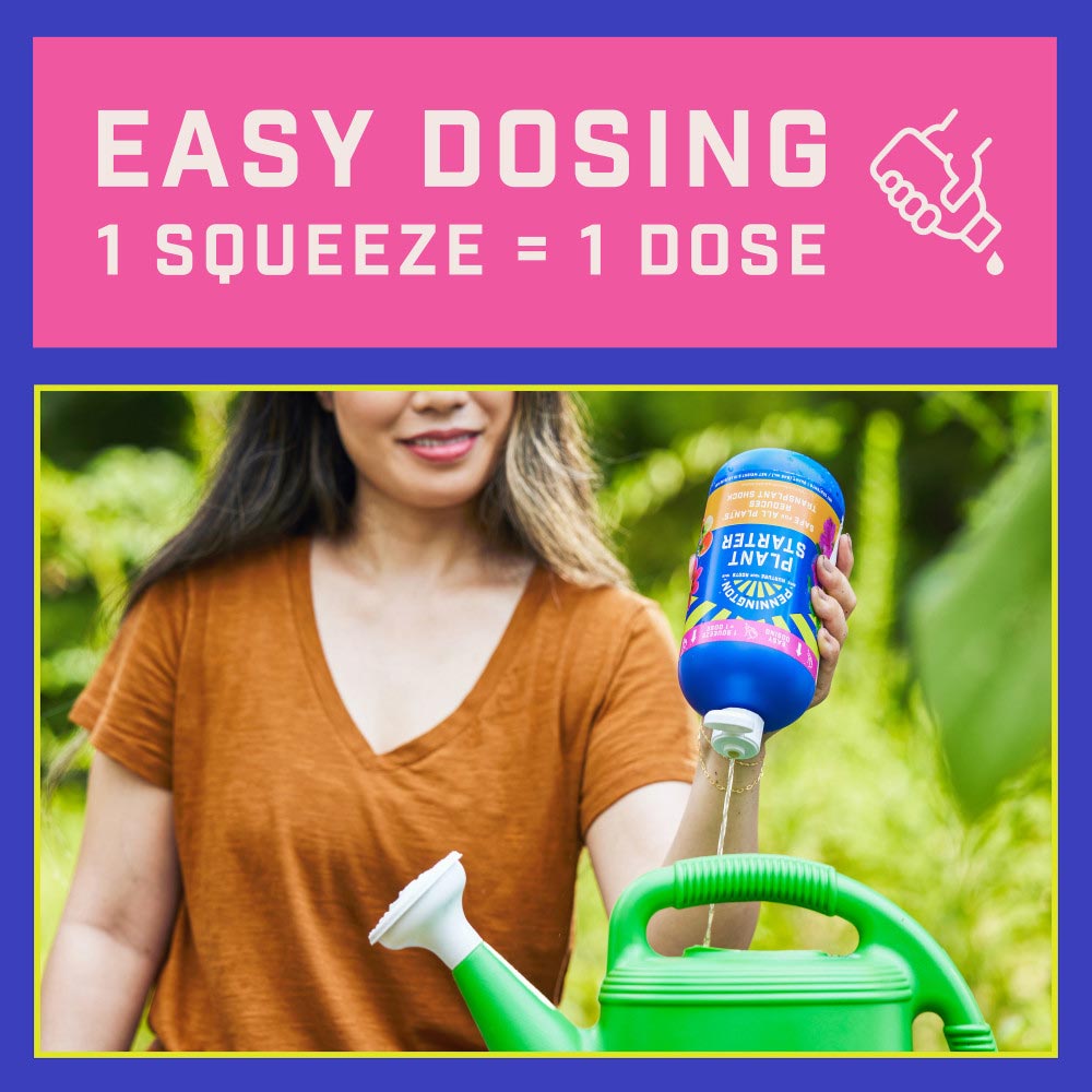 pennington-plant-starter-3