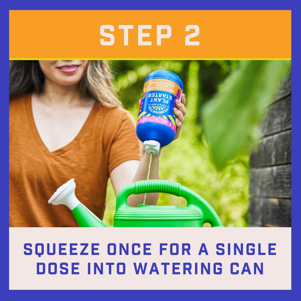 pennington-plant-starter-7