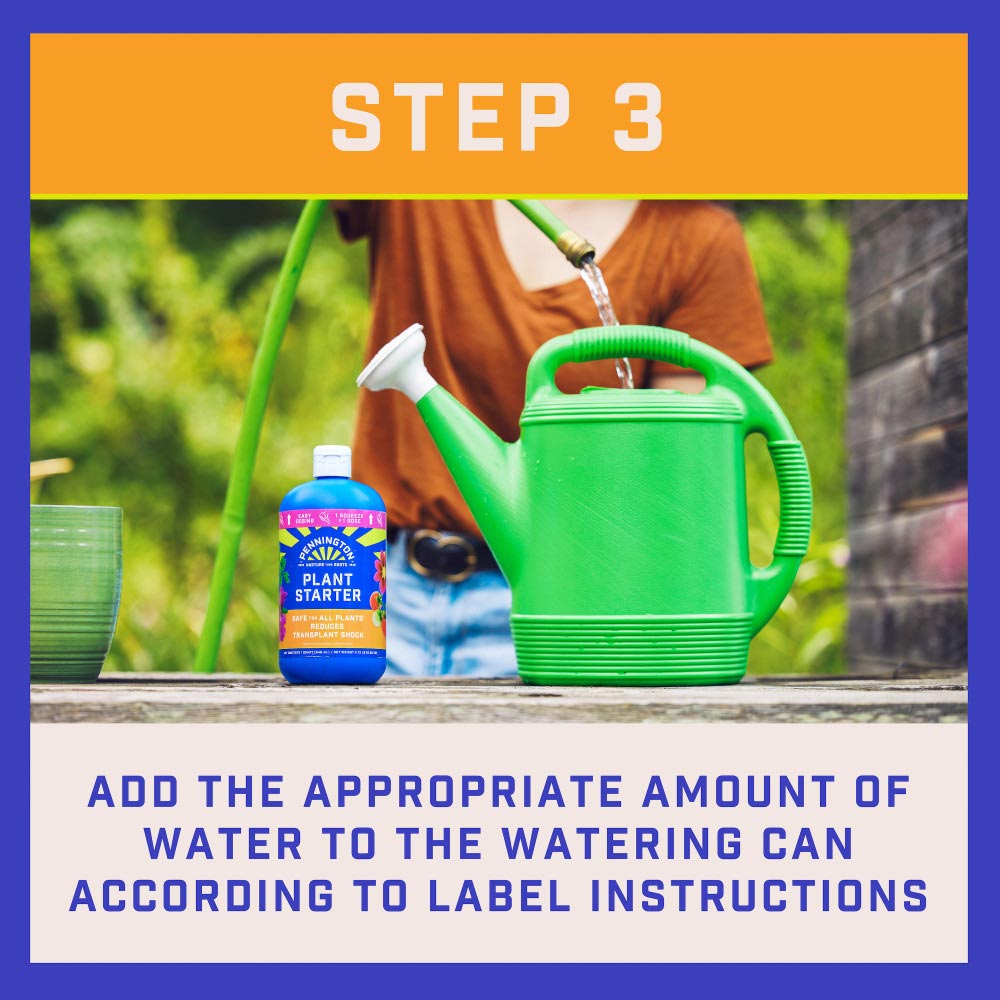 pennington-plant-starter-8