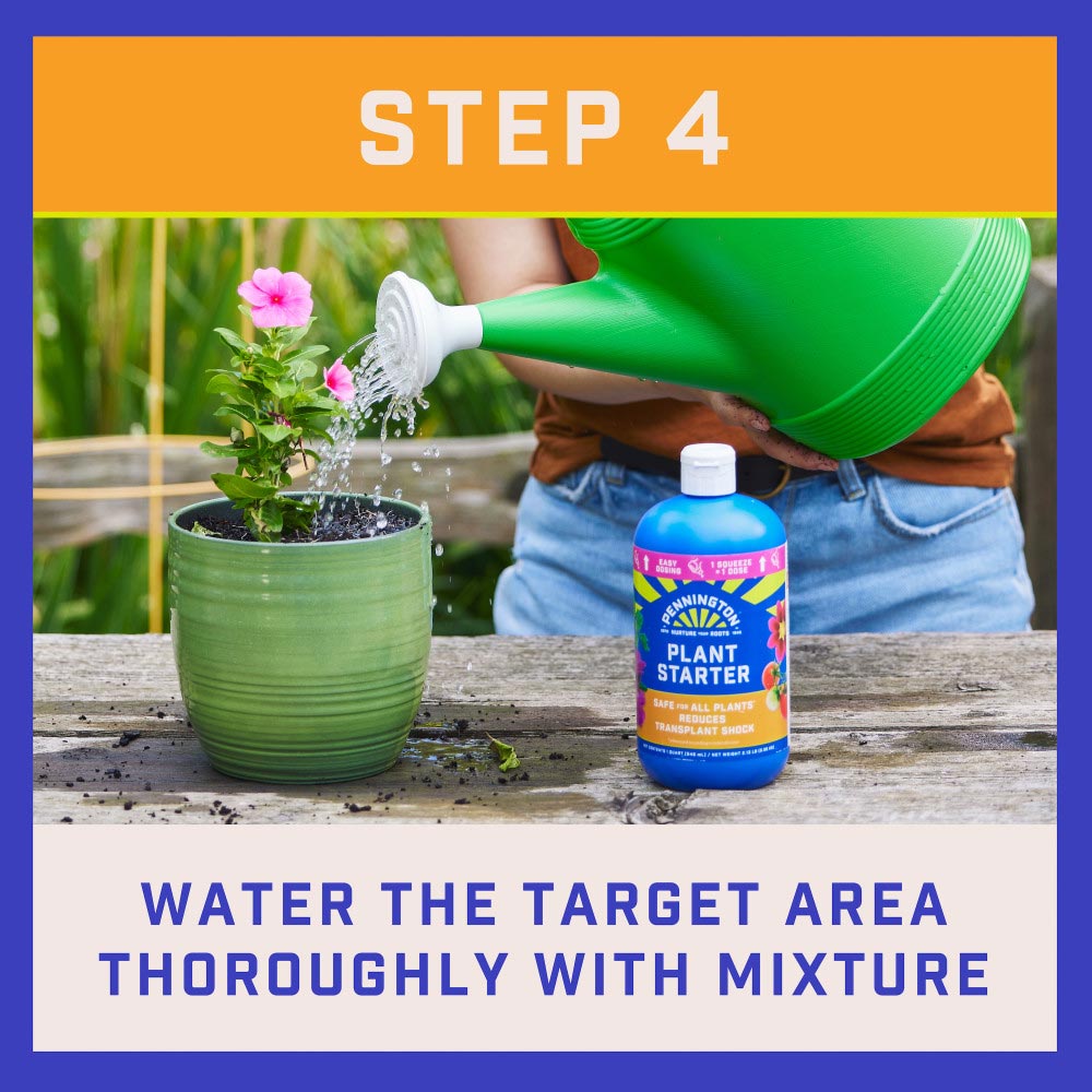 pennington-plant-starter-9