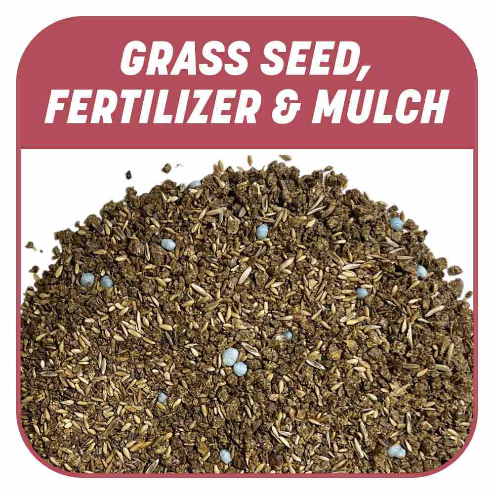 Pennington Smart Patch Zenith Zoysia