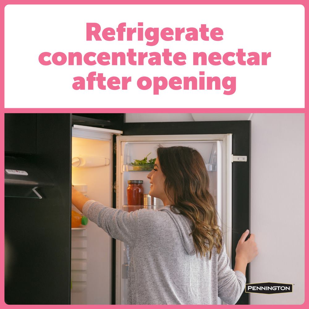 pennington ultraelectro nectar concentrate 