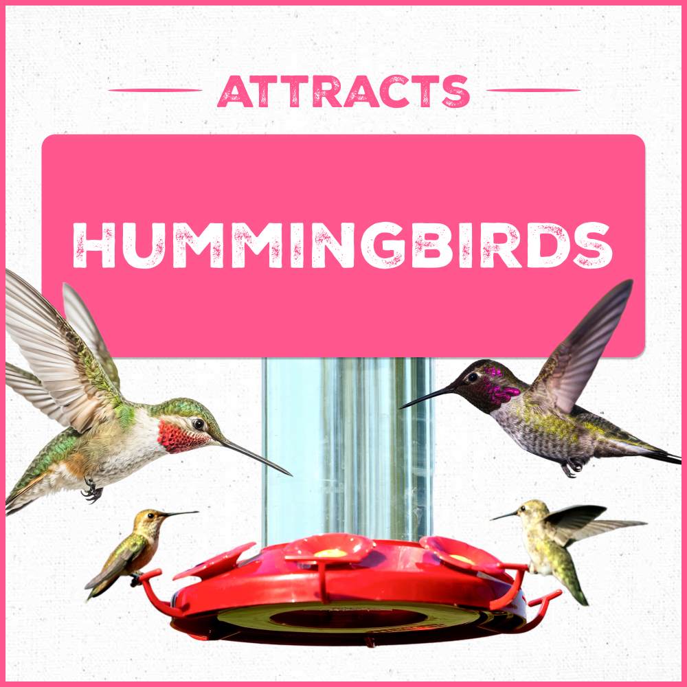 pennington ultra electronectar ready to use