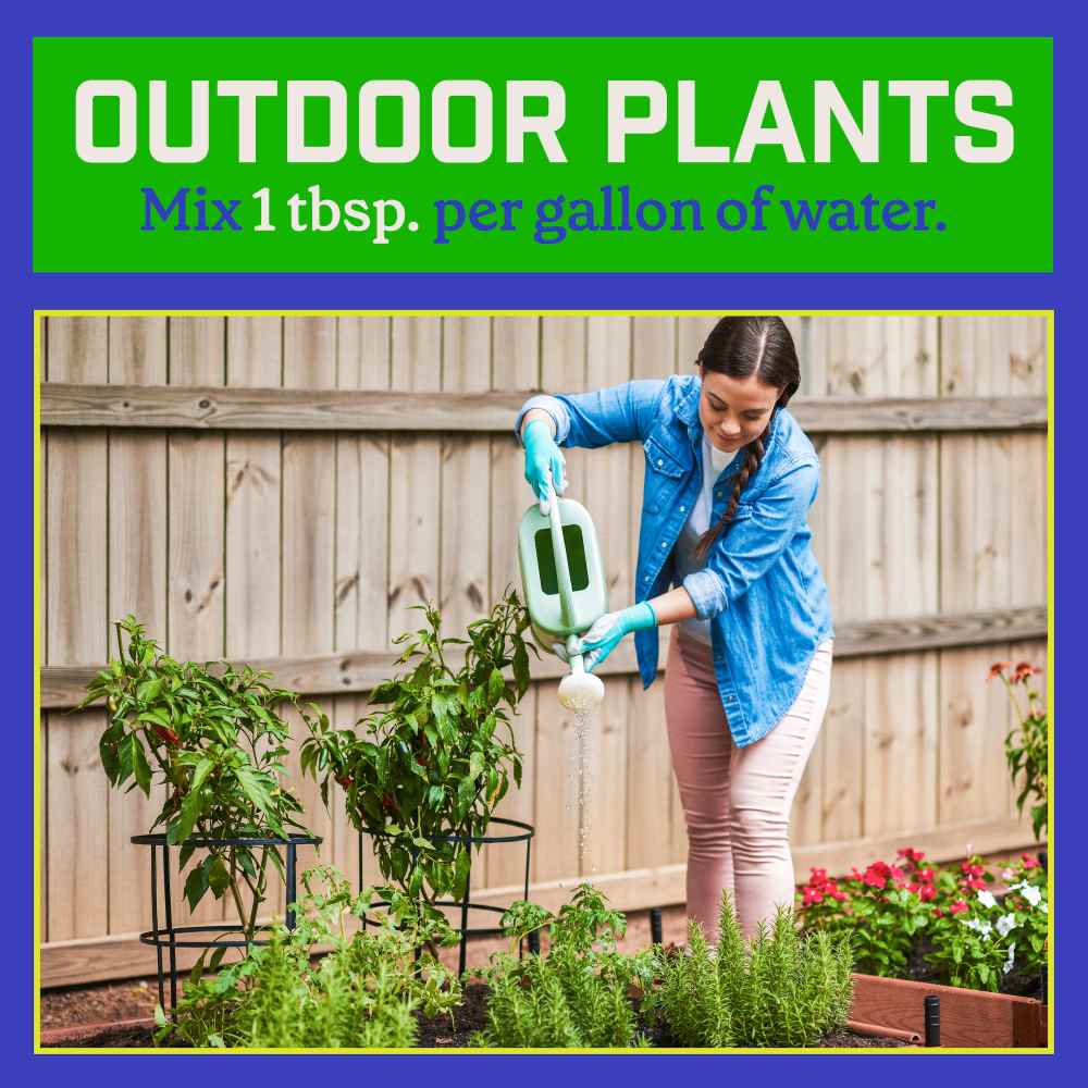 Pennington Water Soluble All Purpose Plant Food