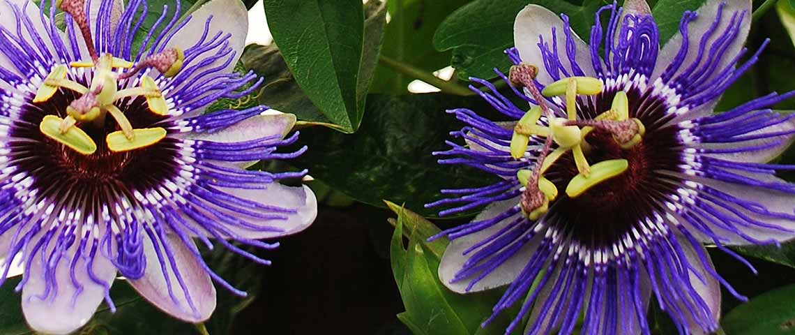 Providing Natural Privacy