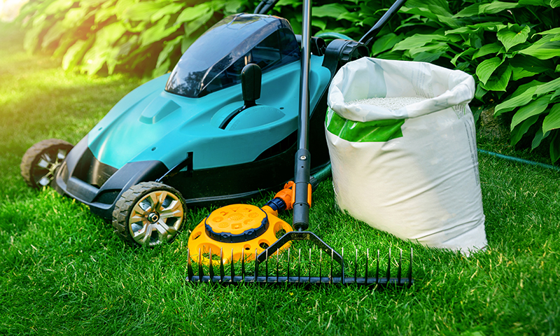 Caring for your lawn helps prevent lawn diseases.