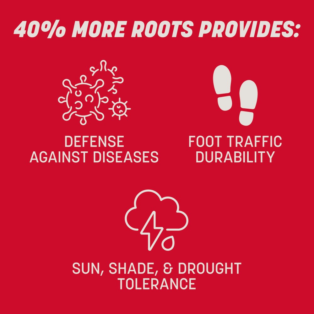 rebels tall fescue blend