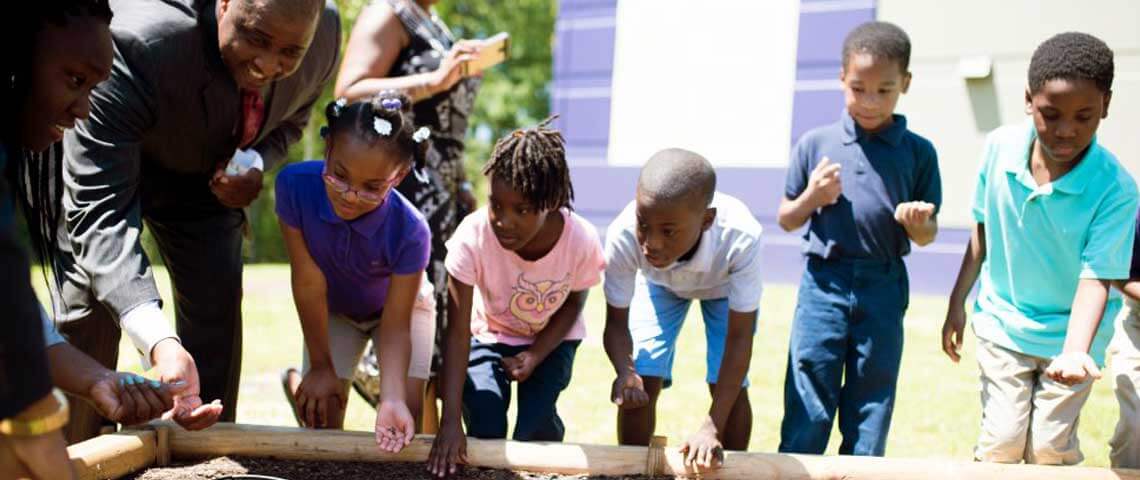 School Gardens Header