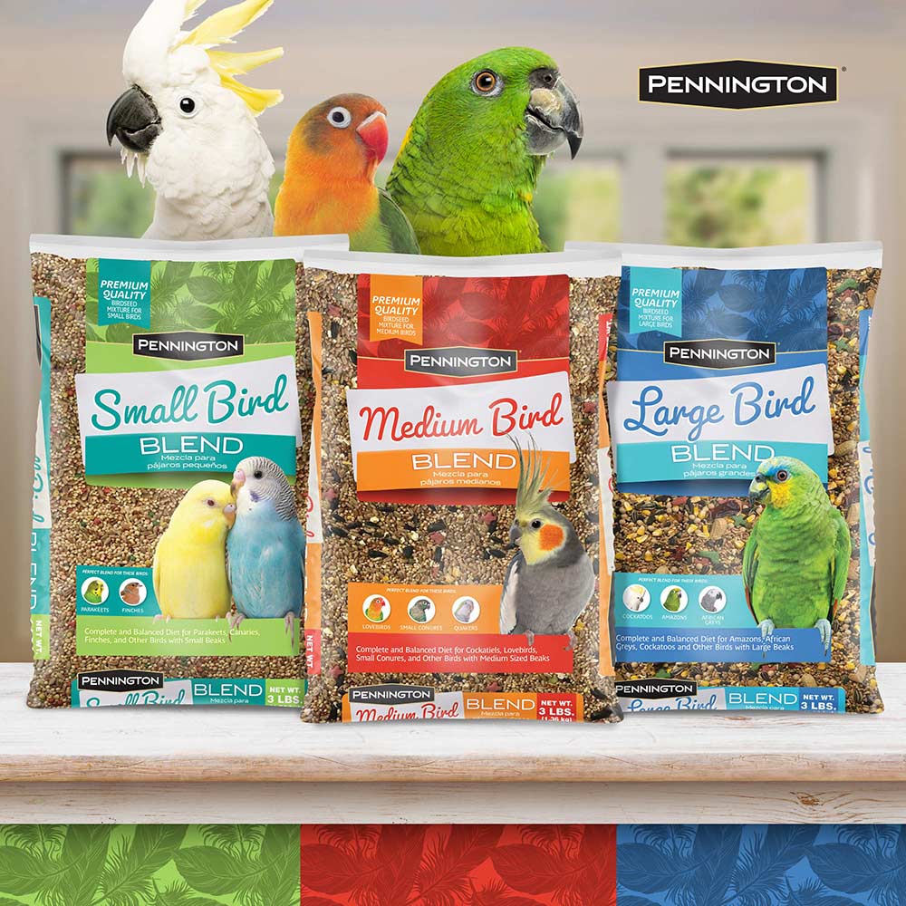 small-bird-blend-3lbs-11
