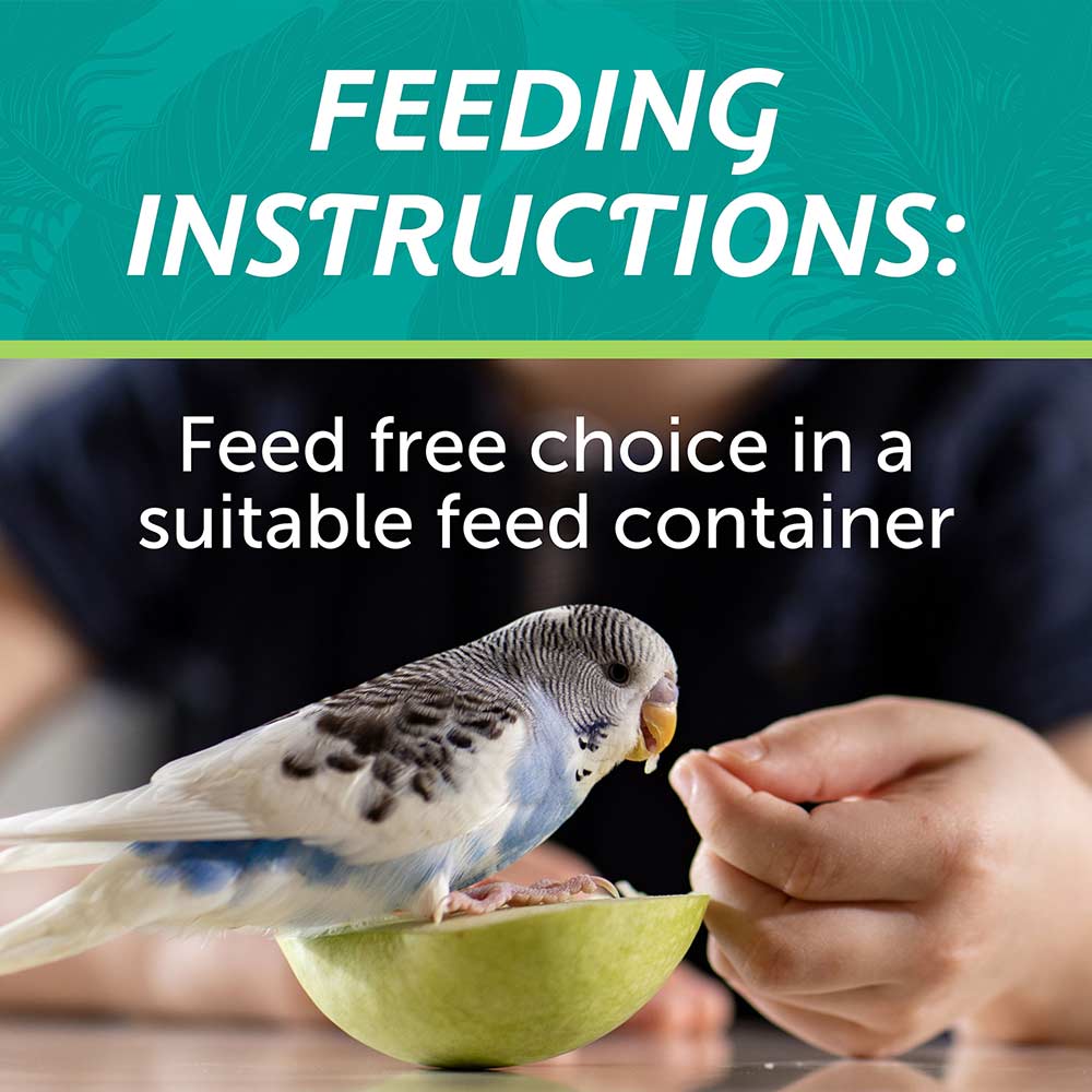 small-bird-blend-3lbs-6