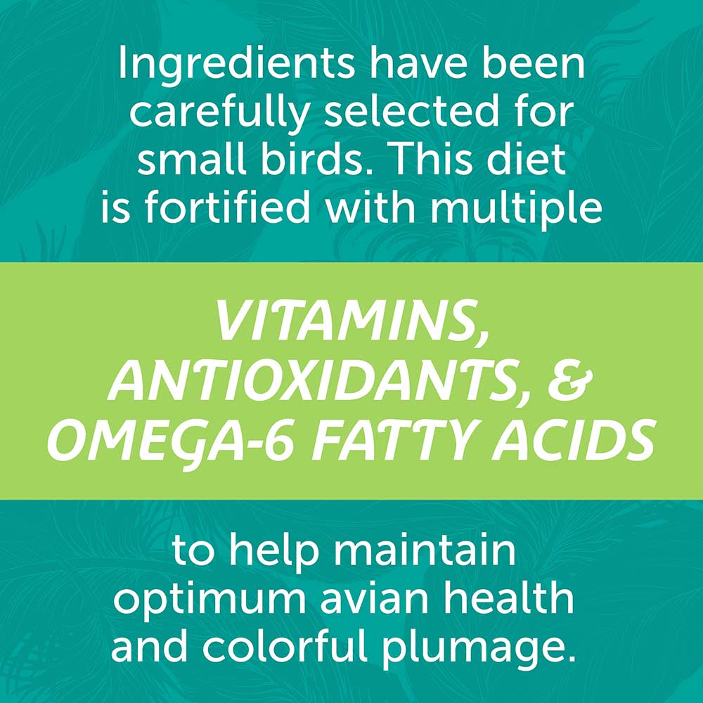 small-bird-blend-3lbs-7