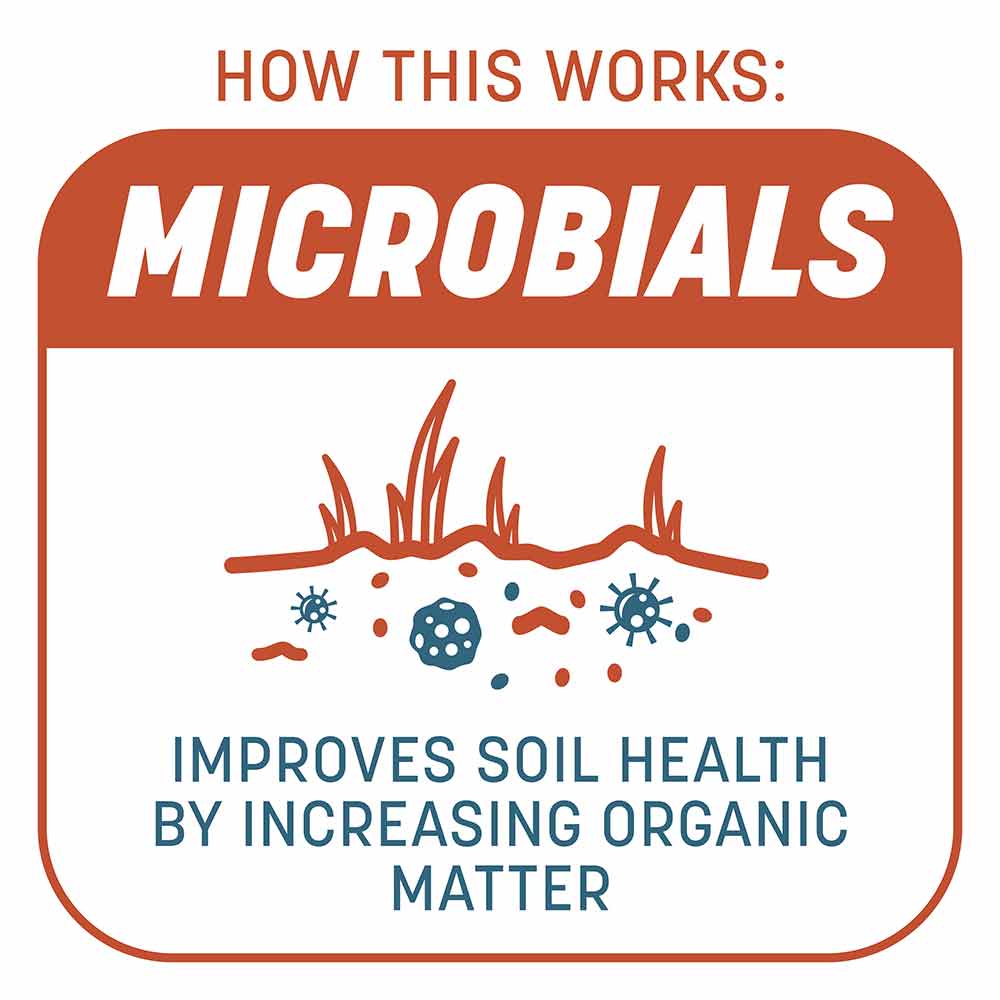 Smart-Patch-Bermuda-4