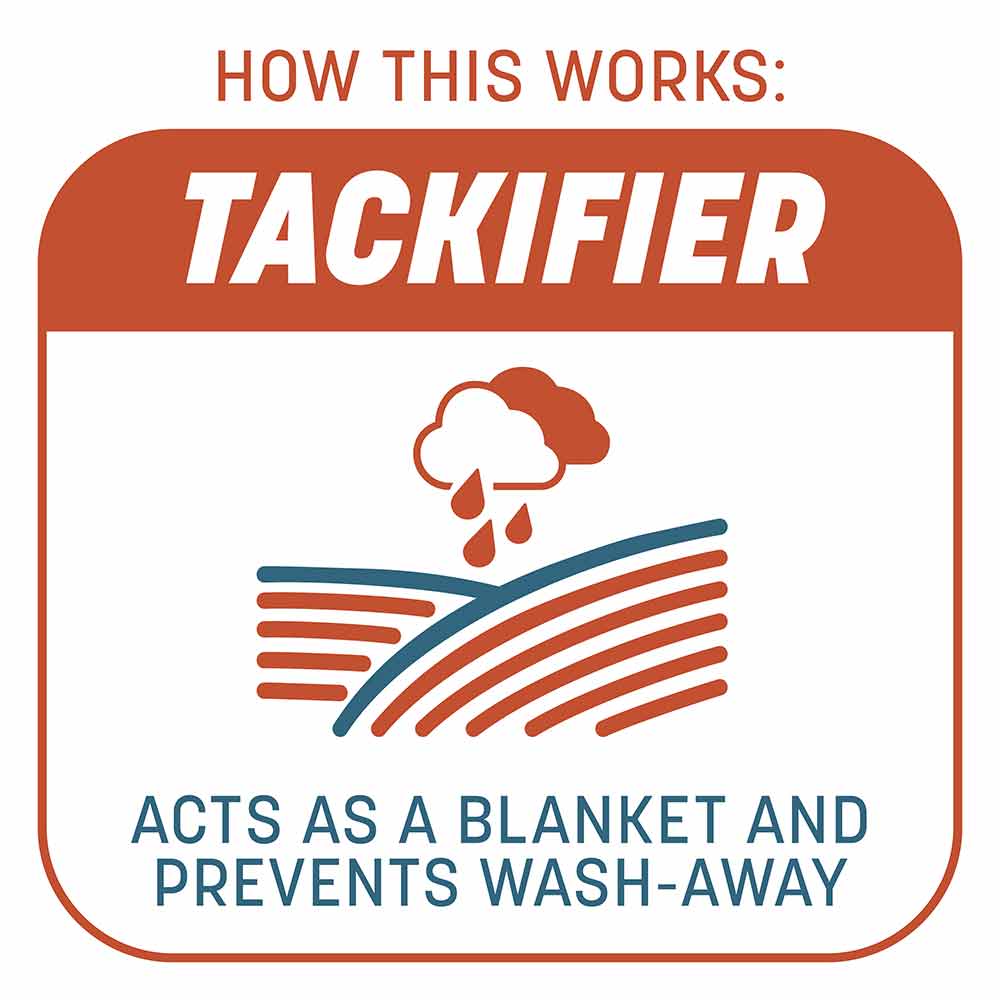 Smart-Patch-Bermuda-5