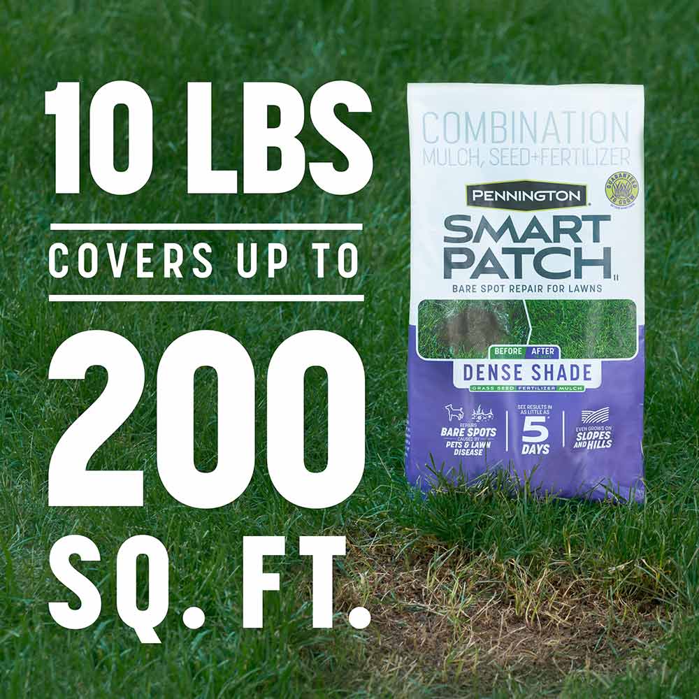 Smart-Patch-Dense-Shade-10-lb-3