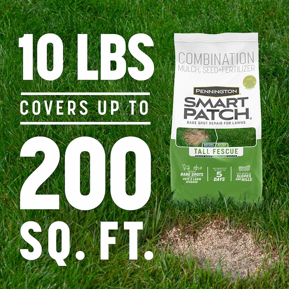Smart-Patch-Tall-Fescue-10-lb-3