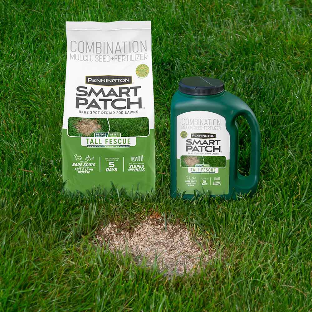 Smart-Patch-Tall-Fescue-13