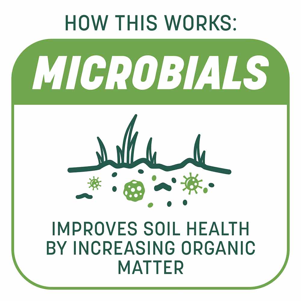 Smart-Patch-Tall-Fescue-5