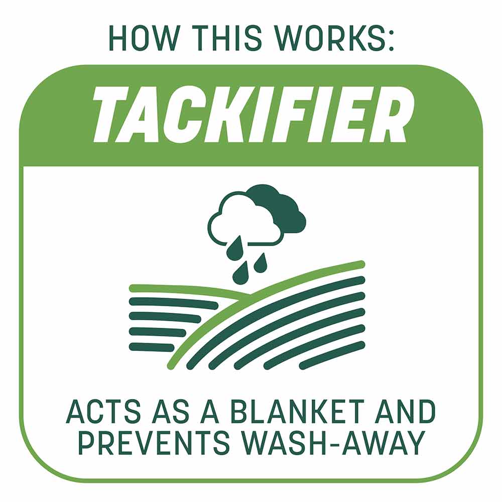 Smart-Patch-Tall-Fescue-6