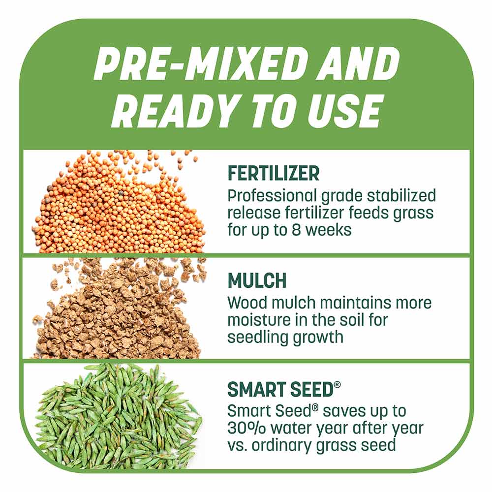 Smart-Patch-Tall-Fescue-7