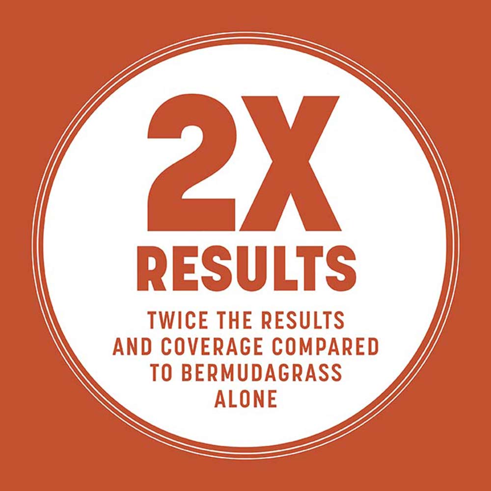 thicker-bermuda-grass