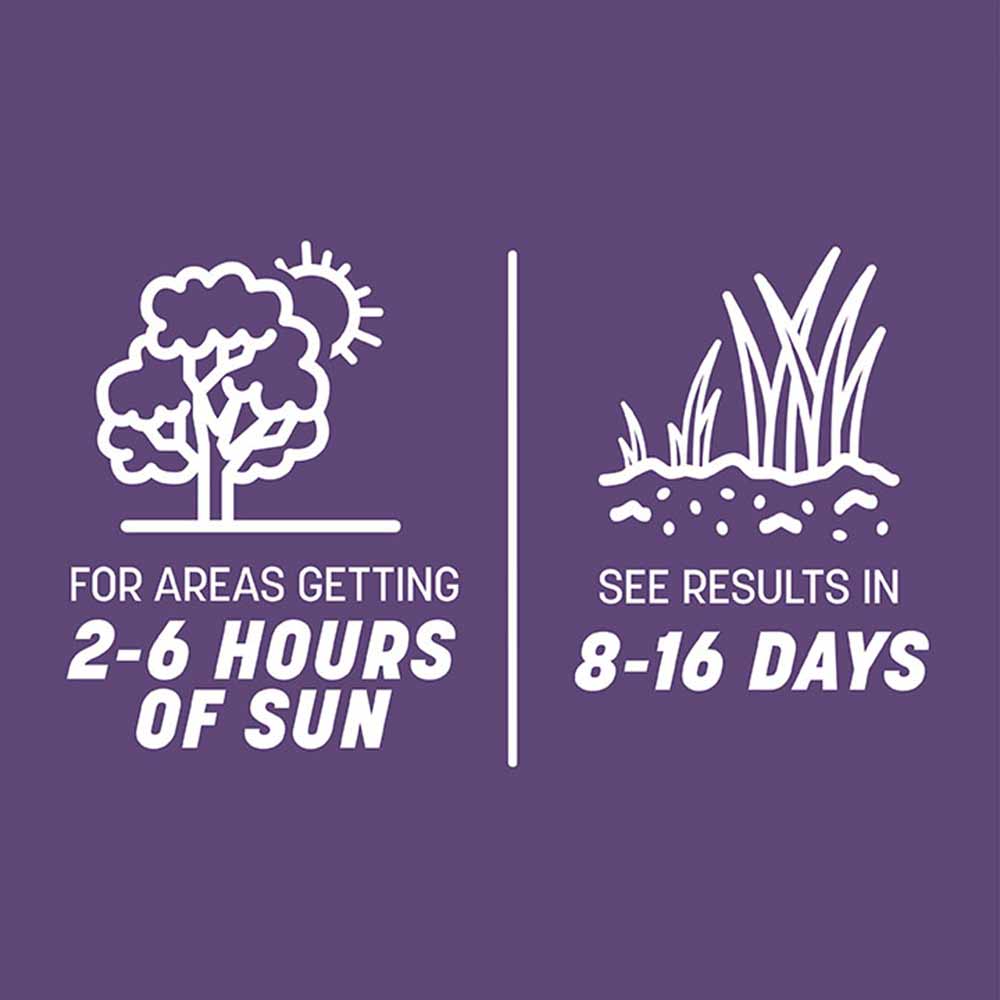 smart-seed-dense-shade-sun-time