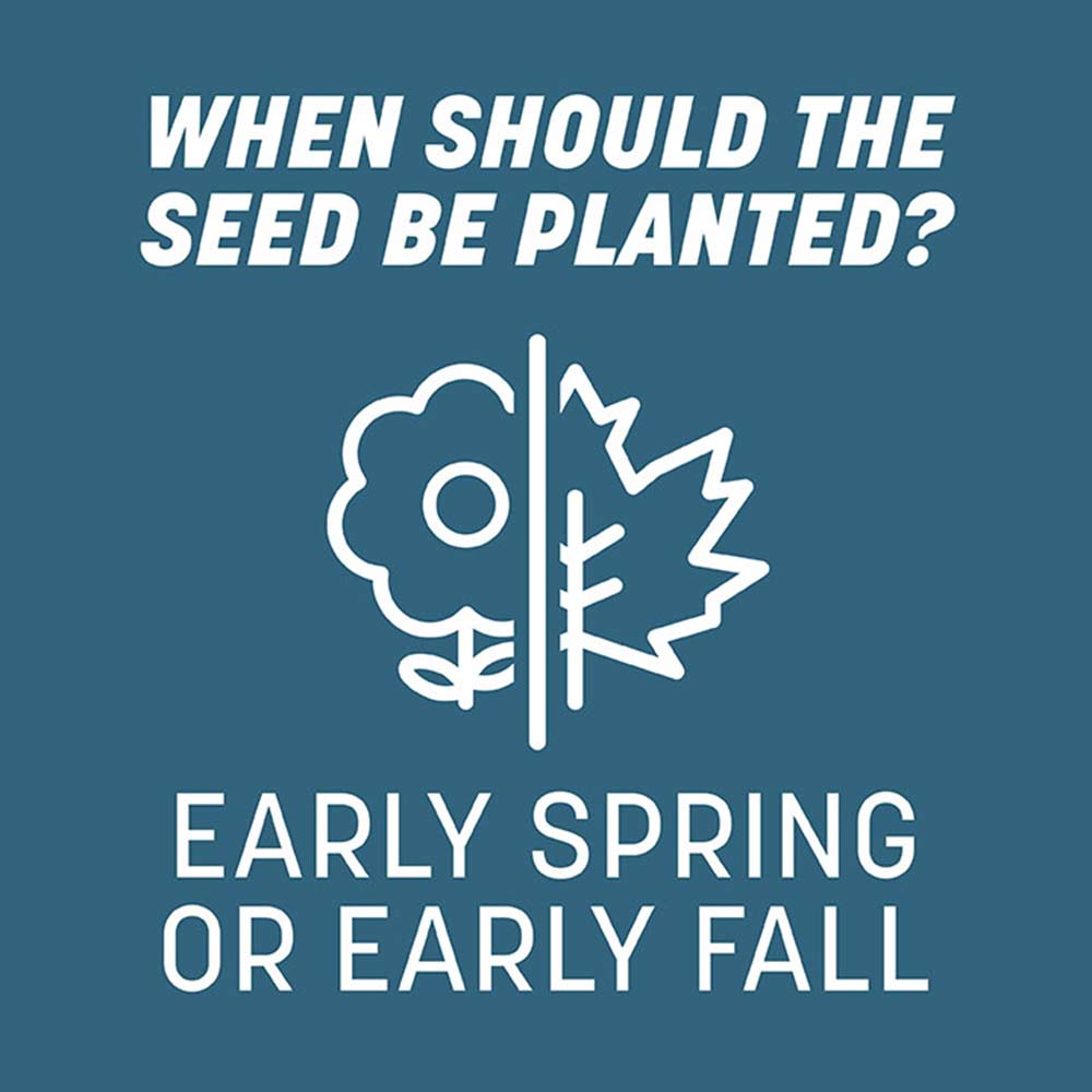 northeast-grass-seed-planting-time