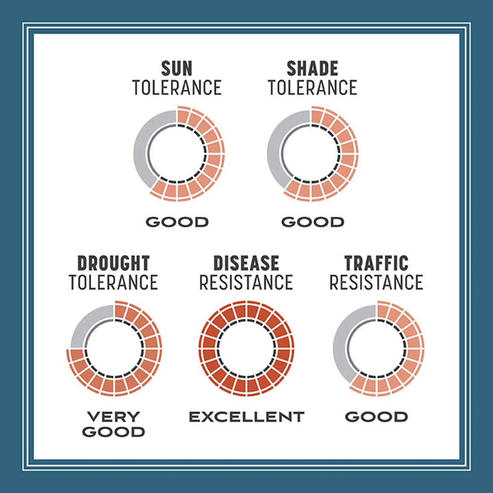 northeast-grass-seed-tolerance