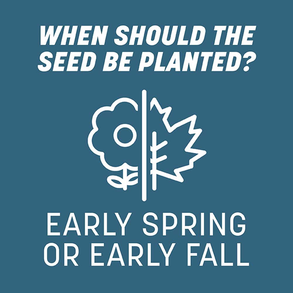 when-to-plant-pacific-northwest-grass-seed