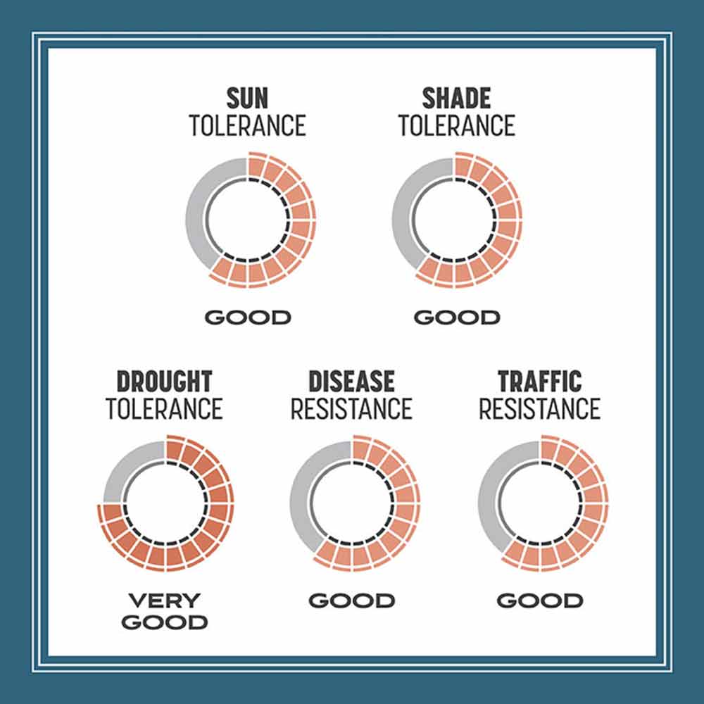 smart-seed-pennsylvania-grass-seed-tolerance