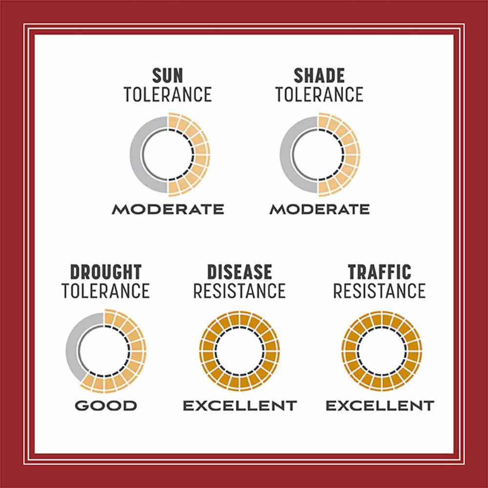 perennial-ryegrass-tolerance