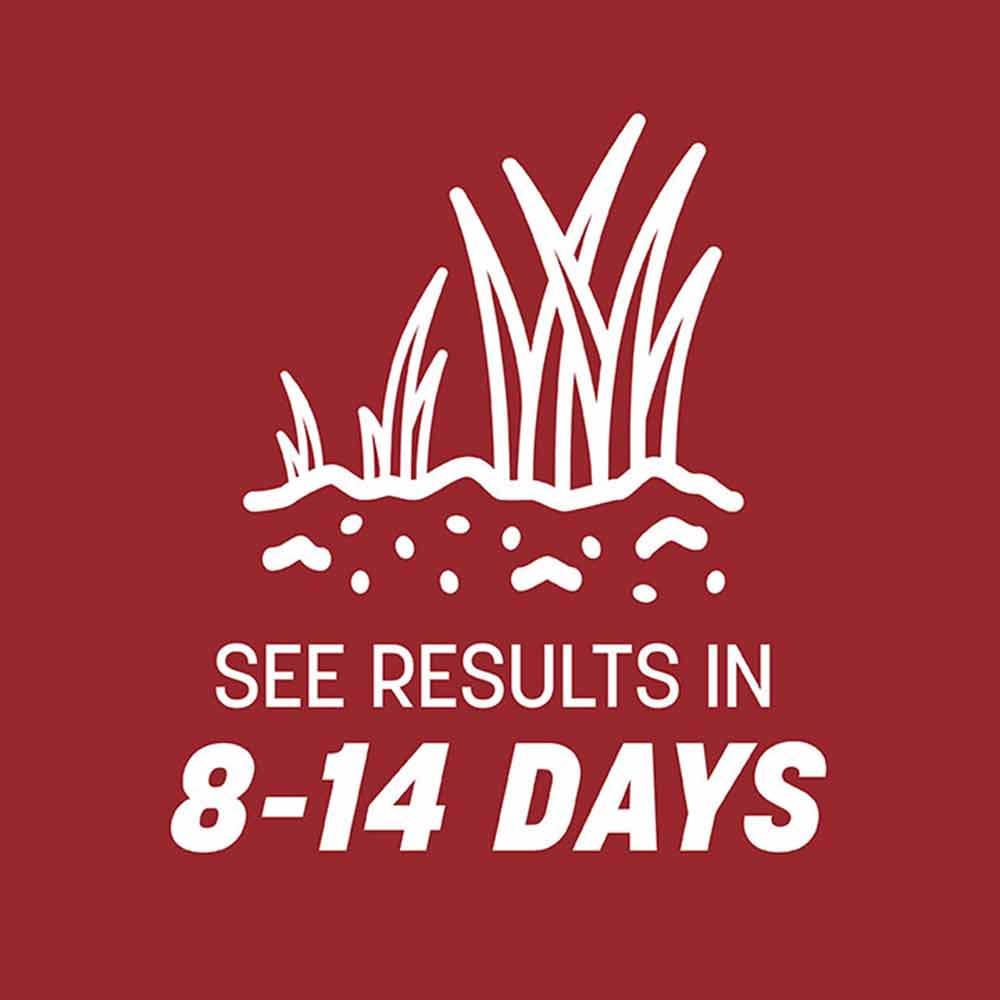 results-perennial-ryegrass