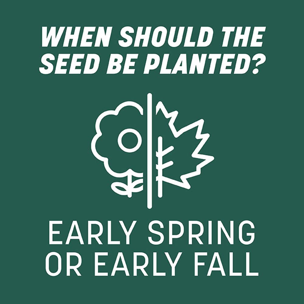 southern-sun-and-shade-grass-planting-time