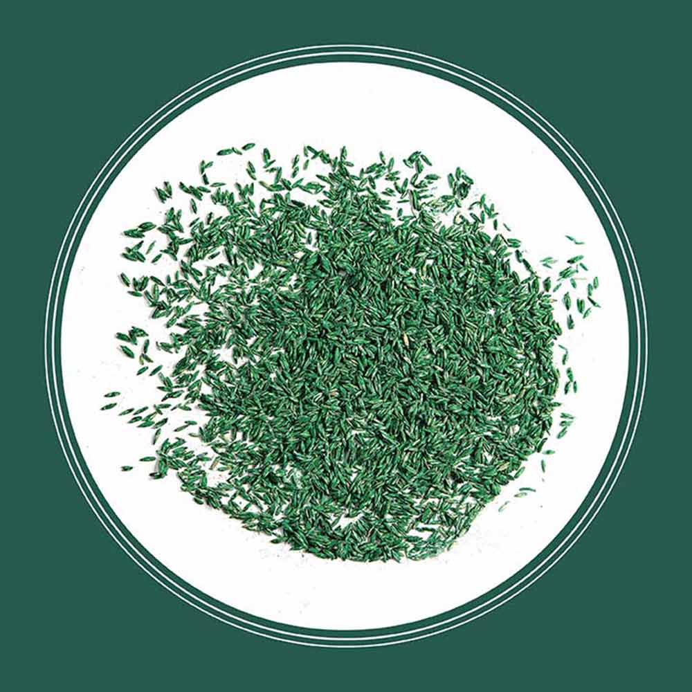 southern-sun-and-shade-seed