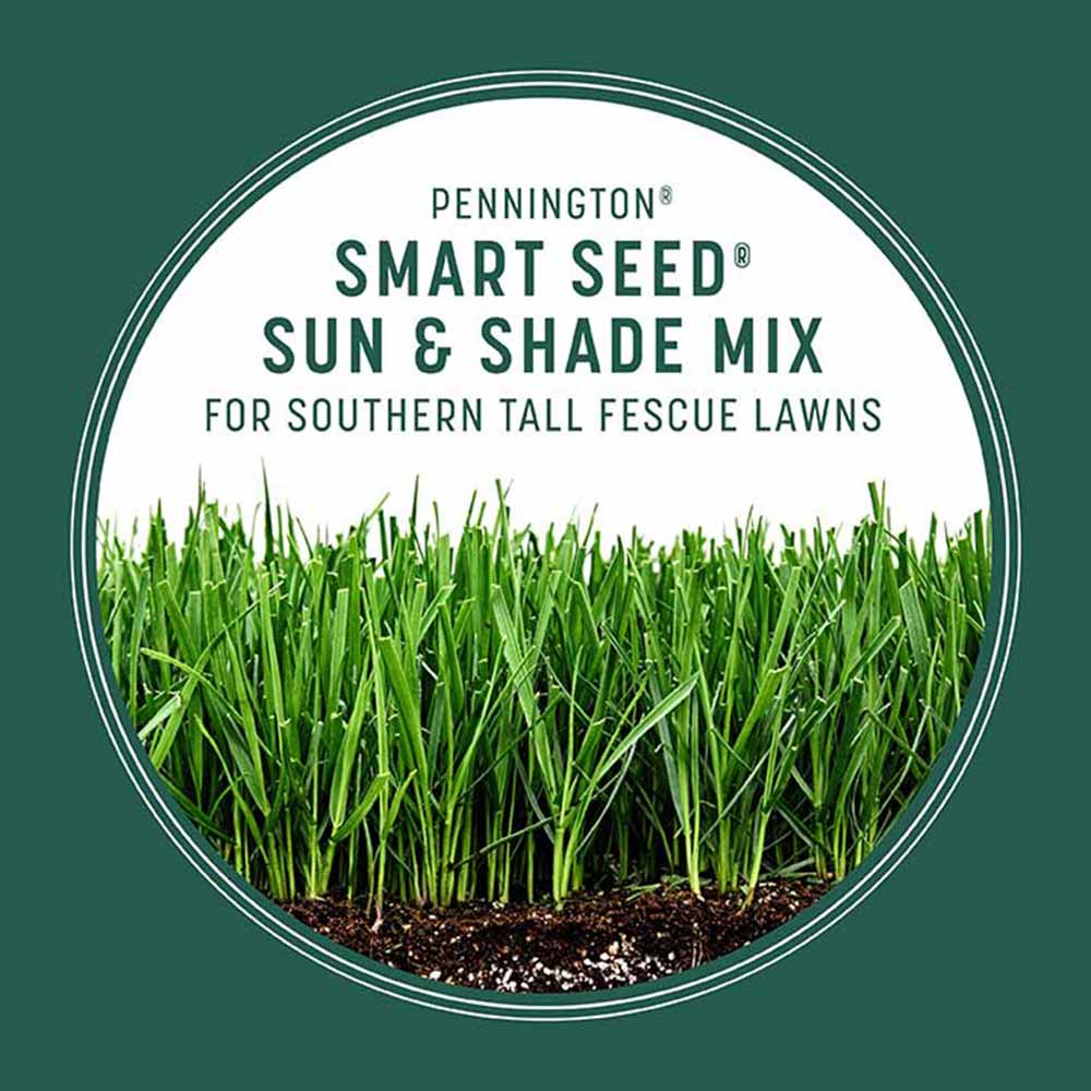 smart-seed-southern-sun-and-shade-grass-growth