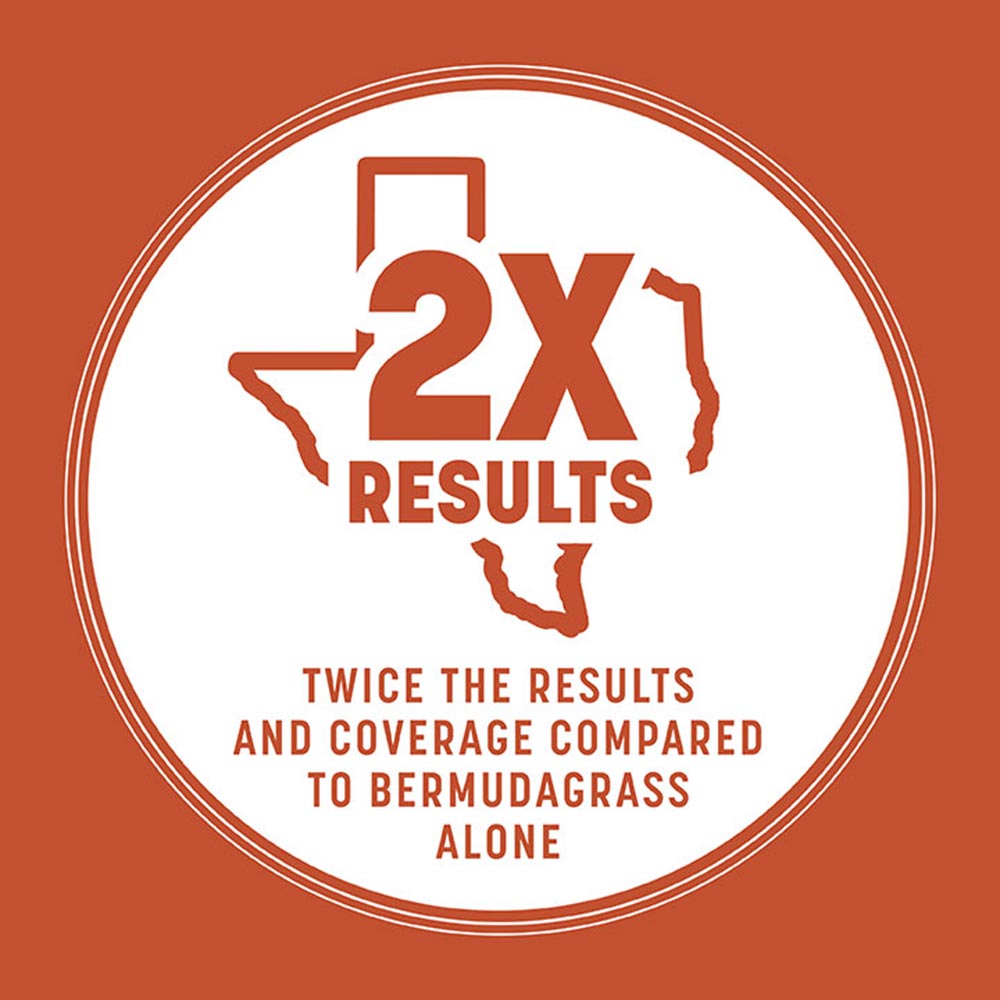 thicker-bermuda-grass-in-texas