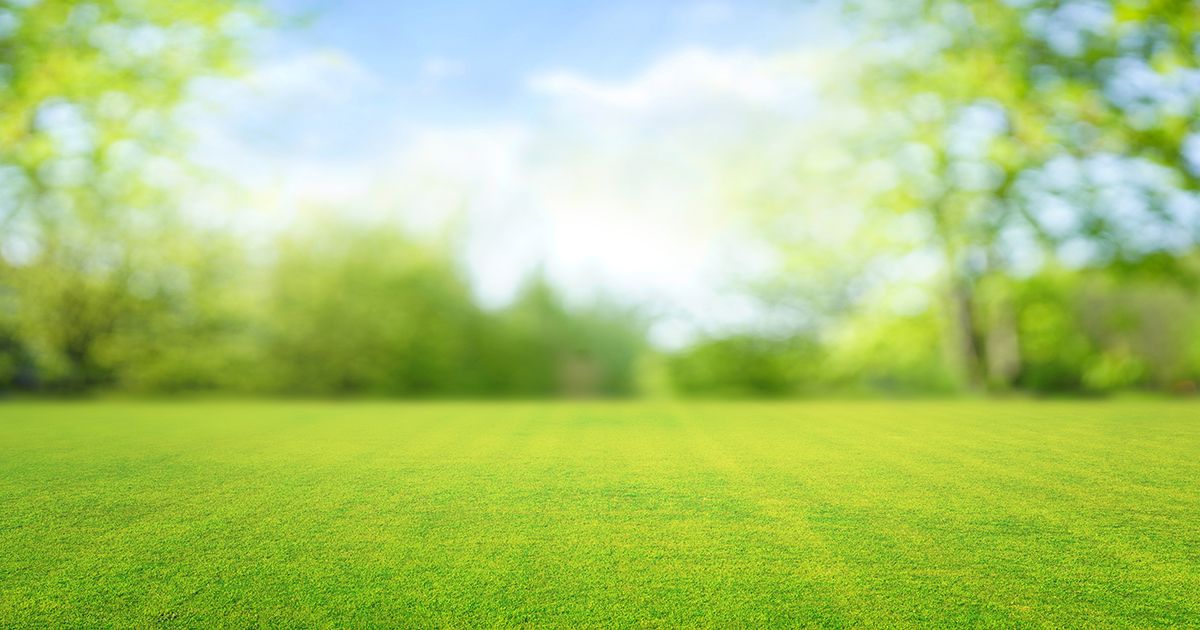 A beautiful, green, freshly cut lawn on a bright spring day.