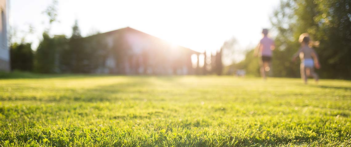 3 Quick Lawn Fixes You Can Do in a Weekend