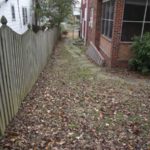 Before Leaf Removal in Silver Spring