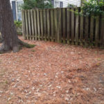 Before Leaf Removal in Montgomery Village