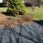 After Clean Up and Mulching in Ijamsville Maryland
