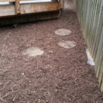 After Clean Up and Mulching in Montgomery Village Maryland