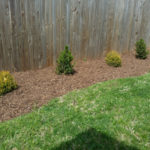After Clean Up and Mulching in Kensington Maryland