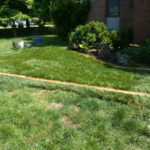 After Raised Bed and Sod Installation in Montgomery Village Maryland